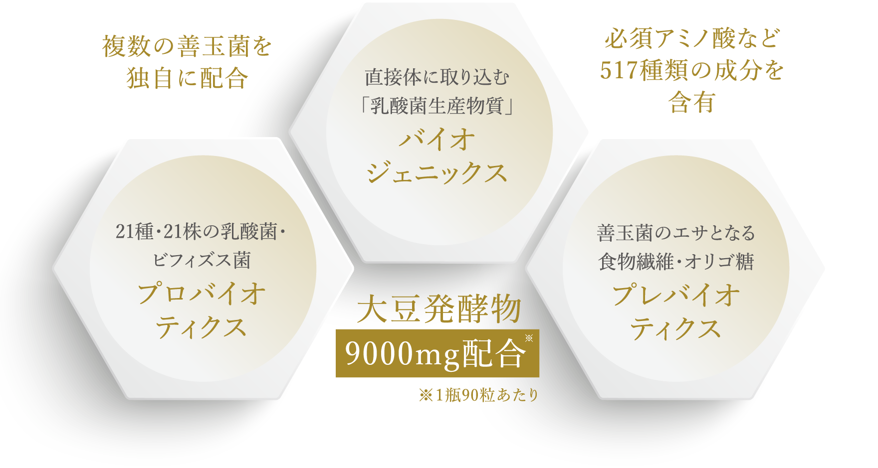 Refeelasサプリメント | NMNのサプリメントなら、健康食品・化粧品の 